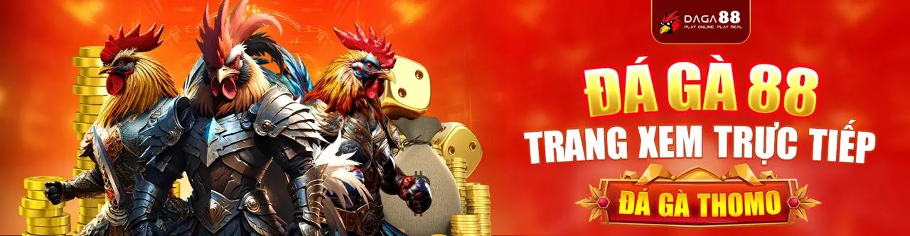Đá gà trực tuyến Kufun Win với các trận đấu sôi động